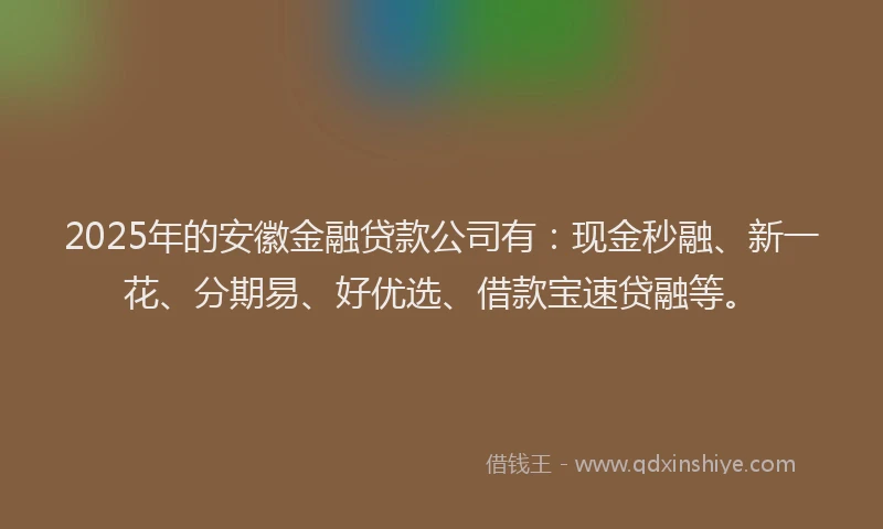 2025年的安徽金融贷款公司有：现金秒融、新一花、分期易、好优选、借款宝速贷融等。