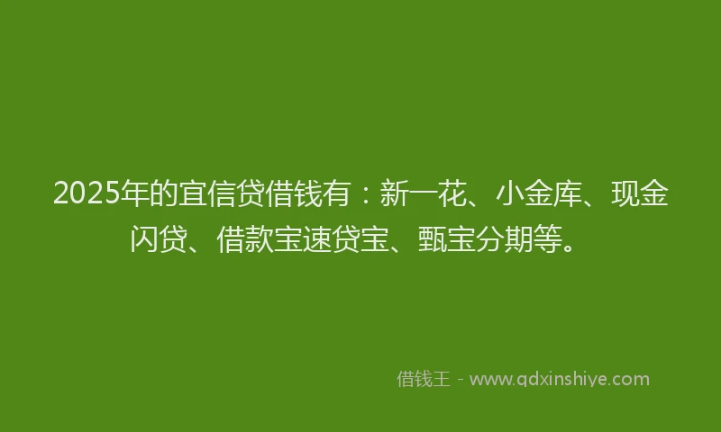 2025年的宜信贷借钱有：新一花、小金库、现金闪贷、借款宝速贷宝、甄宝分期等。