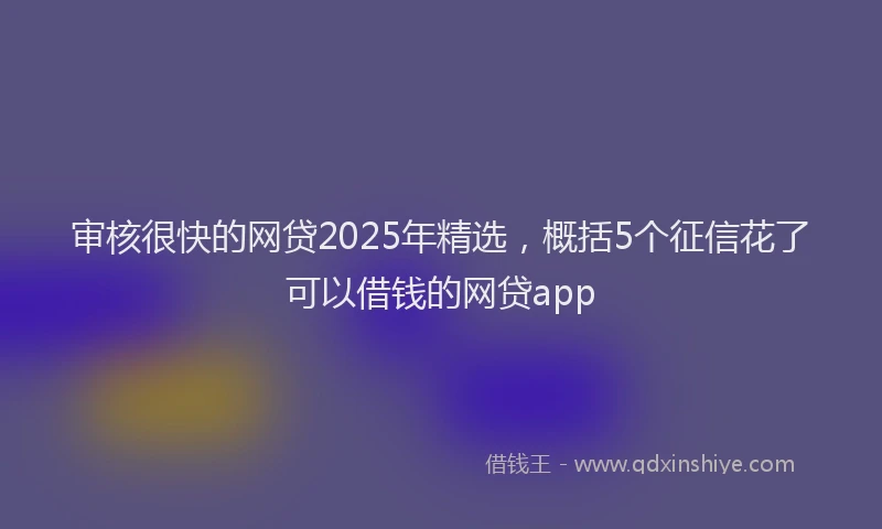 审核很快的网贷2025年精选，概括5个征信花了可以借钱的网贷app