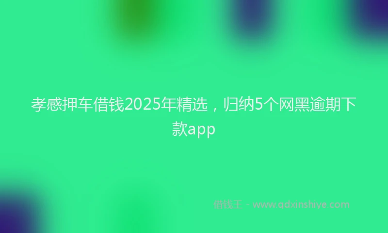 孝感押车借钱2025年精选，归纳5个网黑逾期下款app