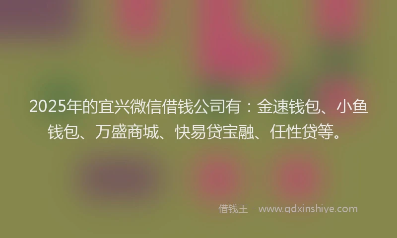2025年的宜兴微信借钱公司有：金速钱包、小鱼钱包、万盛商城、快易贷宝融、任性贷等。
