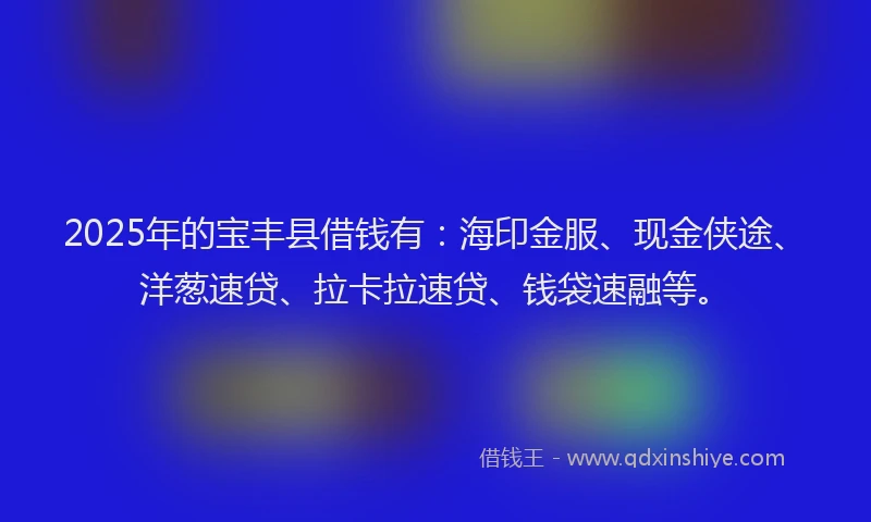 2025年的宝丰县借钱有：海印金服、现金侠途、洋葱速贷、拉卡拉速贷、钱袋速融等。