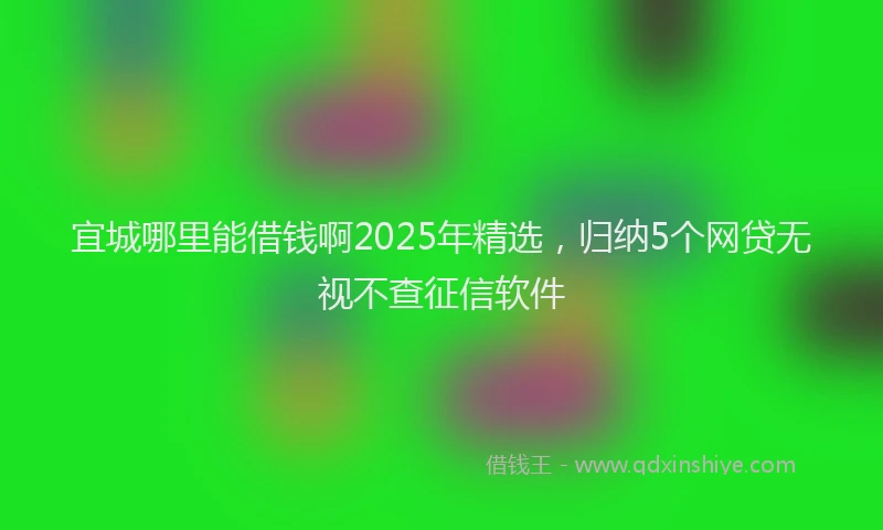 宜城哪里能借钱啊2025年精选，归纳5个网贷无视不查征信软件