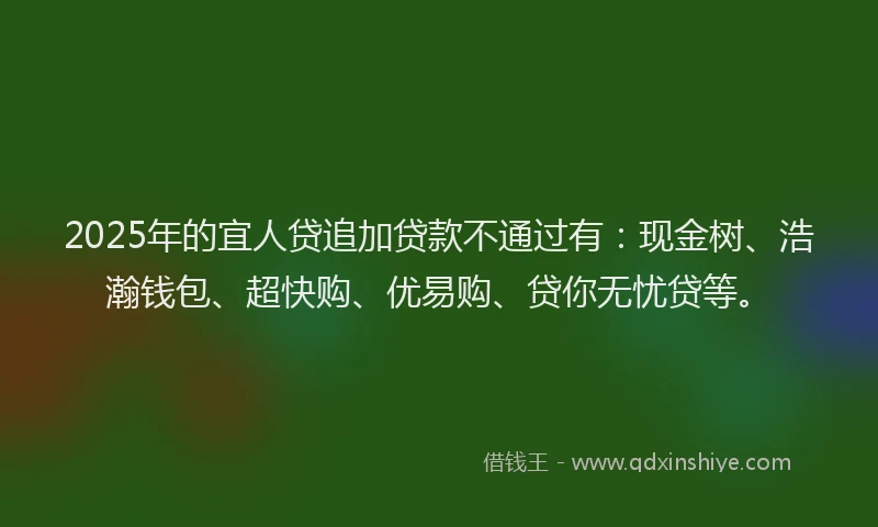 2025年的宜人贷追加贷款不通过有：现金树、浩瀚钱包、超快购、优易购、贷你无忧贷等。