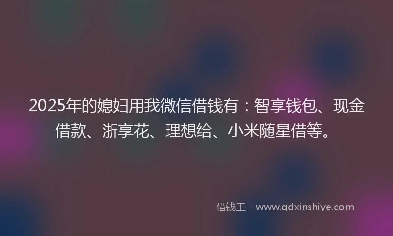 2025年的媳妇用我微信借钱有：智享钱包、现金借款、浙享花、理想给、小米随星借等。