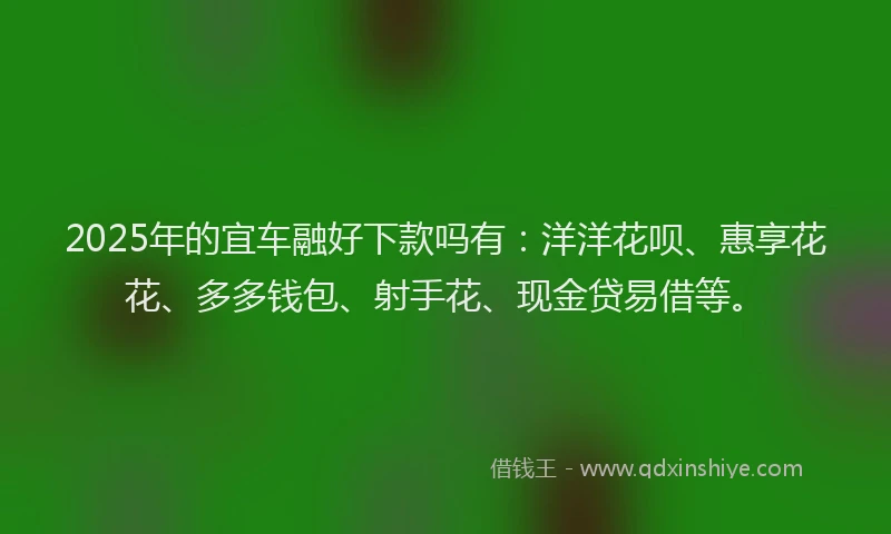 2025年的宜车融好下款吗有：洋洋花呗、惠享花花、多多钱包、射手花、现金贷易借等。