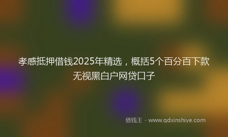 孝感抵押借钱2025年精选，概括5个百分百下款无视黑白户网贷口子