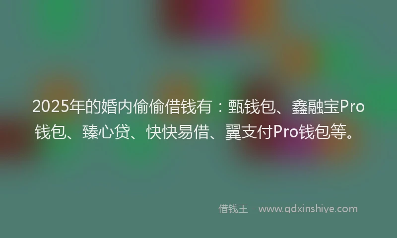 2025年的婚内偷偷借钱有：甄钱包、鑫融宝Pro钱包、臻心贷、快快易借、翼支付Pro钱包等。