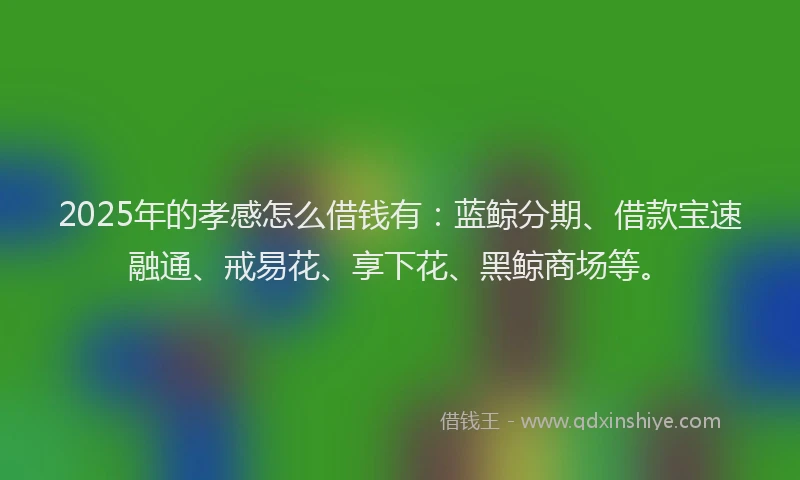 2025年的孝感怎么借钱有：蓝鲸分期、借款宝速融通、戒易花、享下花、黑鲸商场等。