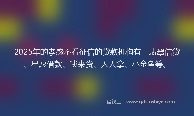 2025年的孝感不看征信的贷款机构有：翡翠信贷、星愿借款、我来贷、人人拿、小金鱼等。