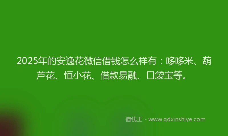 2025年的安逸花微信借钱怎么样有：哆哆米、葫芦花、恒小花、借款易融、口袋宝等。