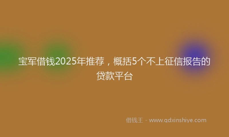 宝军借钱2025年推荐，概括5个不上征信报告的贷款平台