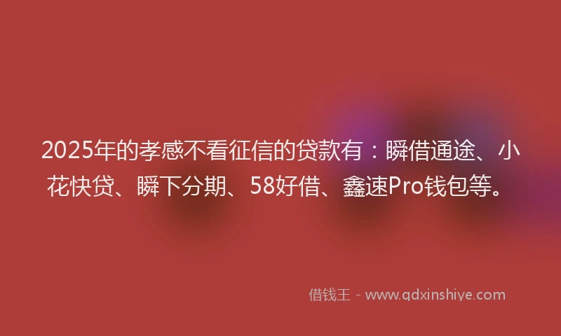 2025年的孝感不看征信的贷款有：瞬借通途、小花快贷、瞬下分期、58好借、鑫速Pro钱包等。