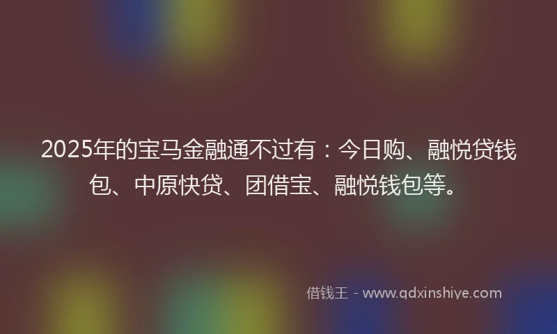 2025年的宝马金融通不过有：今日购、融悦贷钱包、中原快贷、团借宝、融悦钱包等。