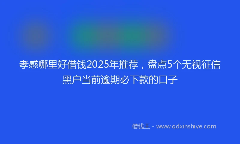 孝感哪里好借钱2025年推荐，盘点5个无视征信黑户当前逾期必下款的口子
