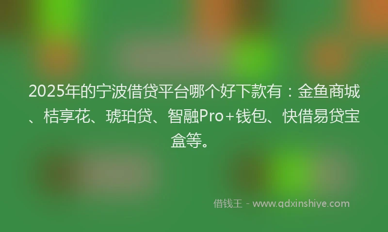2025年的宁波借贷平台哪个好下款有：金鱼商城、桔享花、琥珀贷、智融Pro+钱包、快借易贷宝盒等。