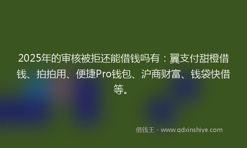 2025年的审核被拒还能借钱吗有：翼支付甜橙借钱、拍拍用、便捷Pro钱包、沪商财富、钱袋快借等。