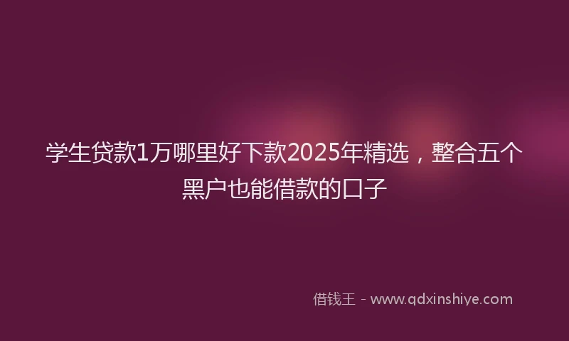 学生贷款1万哪里好下款2025年精选，整合五个黑户也能借款的口子