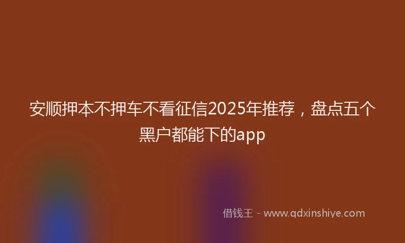 安顺押本不押车不看征信2025年推荐，盘点五个黑户都能下的app