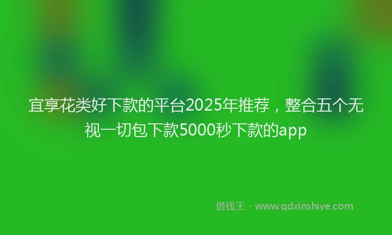 宜享花类好下款的平台2025年推荐，整合五个无视一切包下款5000秒下款的app