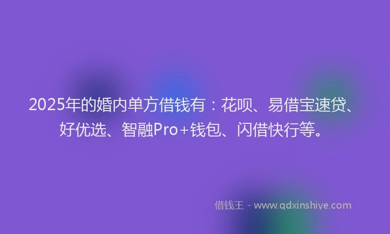 2025年的婚内单方借钱有：花呗、易借宝速贷、好优选、智融Pro+钱包、闪借快行等。