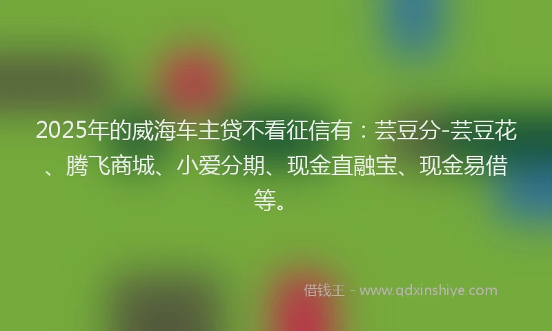 2025年的威海车主贷不看征信有：芸豆分-芸豆花、腾飞商城、小爱分期、现金直融宝、现金易借等。