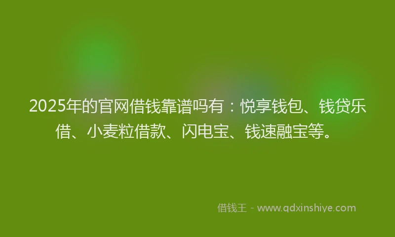2025年的官网借钱靠谱吗有：悦享钱包、钱贷乐借、小麦粒借款、闪电宝、钱速融宝等。