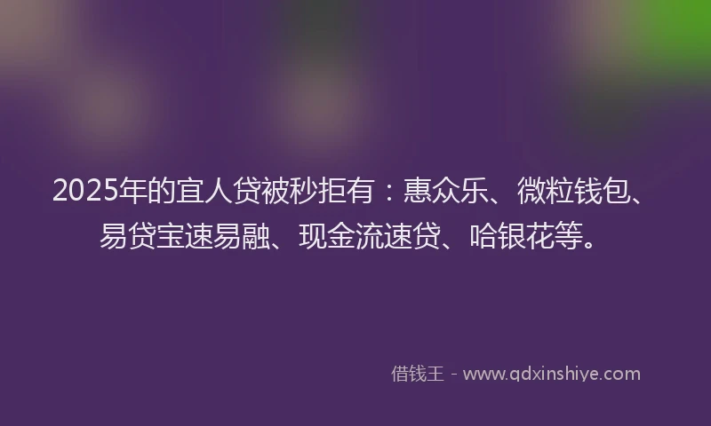 2025年的宜人贷被秒拒有：惠众乐、微粒钱包、易贷宝速易融、现金流速贷、哈银花等。