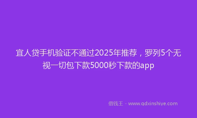 宜人贷手机验证不通过2025年推荐，罗列5个无视一切包下款5000秒下款的app