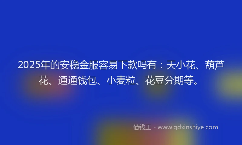 2025年的安稳金服容易下款吗有：天小花、葫芦花、通通钱包、小麦粒、花豆分期等。