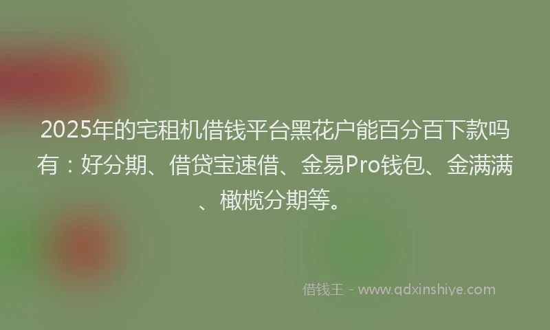 2025年的宅租机借钱平台黑花户能百分百下款吗有：好分期、借贷宝速借、金易Pro钱包、金满满、橄榄分期等。