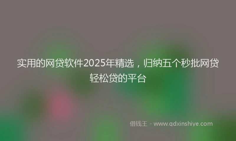 实用的网贷软件2025年精选，归纳五个秒批网贷轻松贷的平台