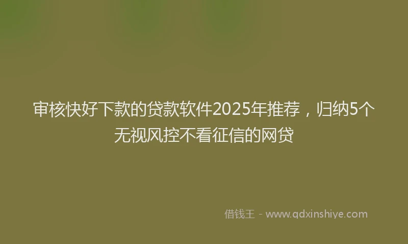 审核快好下款的贷款软件2025年推荐，归纳5个无视风控不看征信的网贷