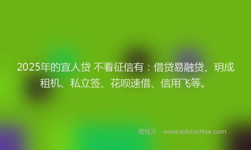 2025年的宜人贷 不看征信有：借贷易融贷、玥成租机、私立签、花呗速借、信用飞等。