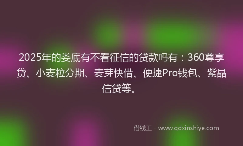 2025年的娄底有不看征信的贷款吗有：360尊享贷、小麦粒分期、麦芽快借、便捷Pro钱包、紫晶信贷等。