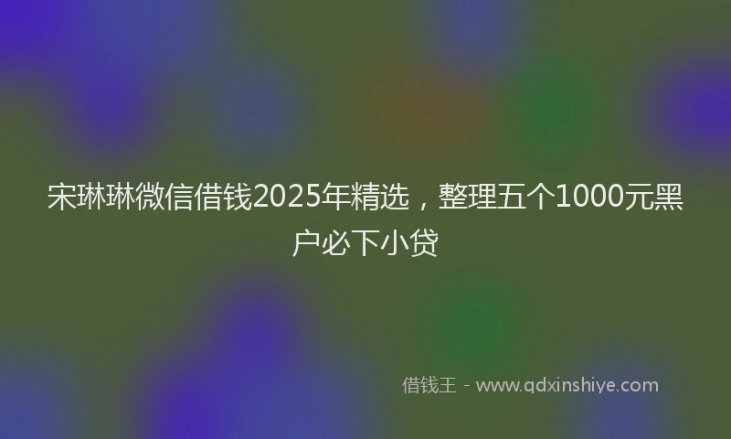 宋琳琳微信借钱2025年精选，整理五个1000元黑户必下小贷