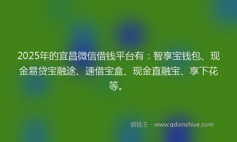 2025年的宜昌微信借钱平台有：智享宝钱包、现金易贷宝融途、速借宝盒、现金直融宝、享下花等。
