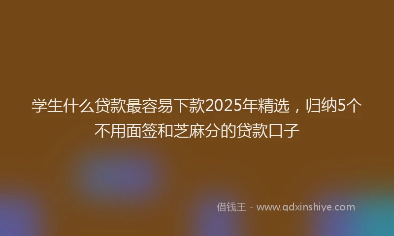 学生什么贷款最容易下款2025年精选，归纳5个不用面签和芝麻分的贷款口子