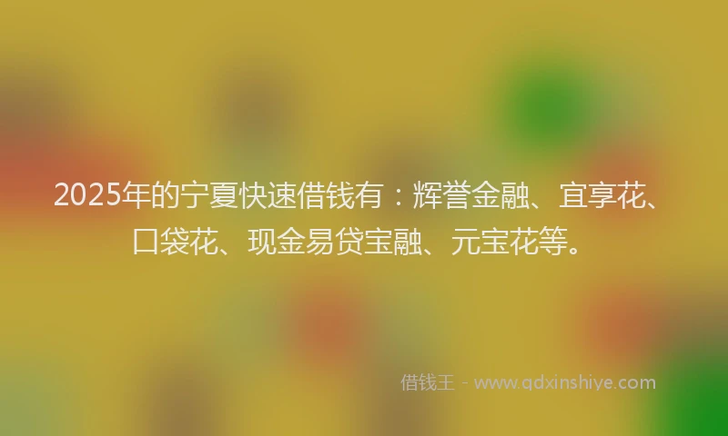 2025年的宁夏快速借钱有：辉誉金融、宜享花、口袋花、现金易贷宝融、元宝花等。