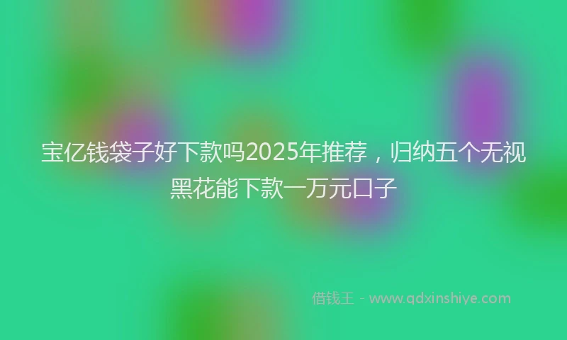 宝亿钱袋子好下款吗2025年推荐，归纳五个无视黑花能下款一万元口子