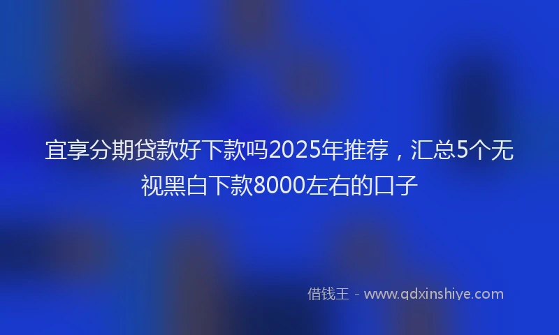 宜享分期贷款好下款吗2025年推荐，汇总5个无视黑白下款8000左右的口子