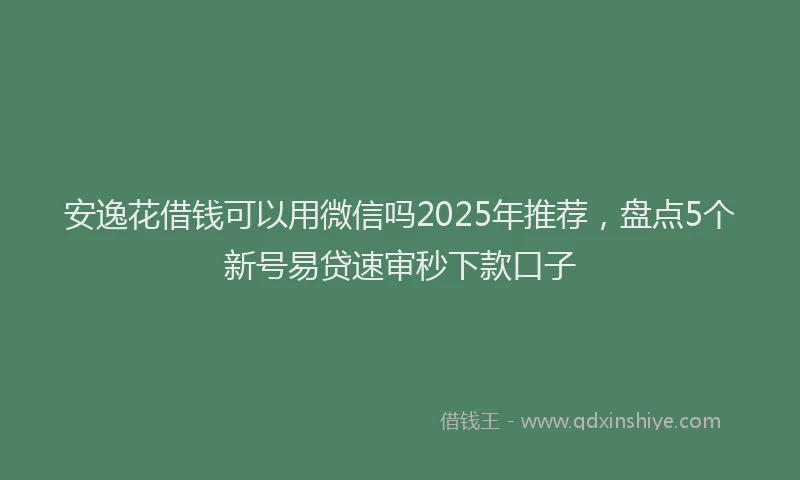 安逸花借钱可以用微信吗2025年推荐，盘点5个新号易贷速审秒下款口子