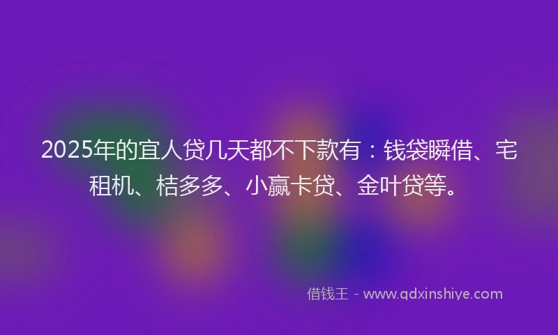 2025年的宜人贷几天都不下款有：钱袋瞬借、宅租机、桔多多、小赢卡贷、金叶贷等。