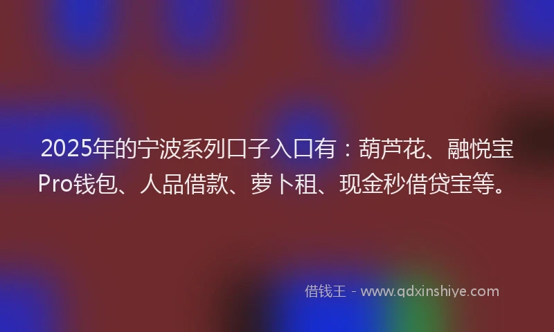 2025年的宁波系列口子入口有：葫芦花、融悦宝Pro钱包、人品借款、萝卜租、现金秒借贷宝等。