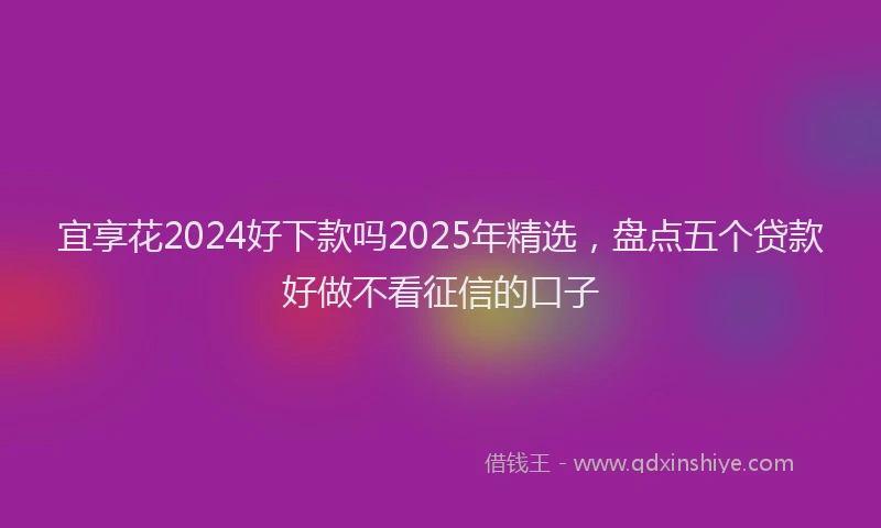 宜享花2024好下款吗2025年精选，盘点五个贷款好做不看征信的口子