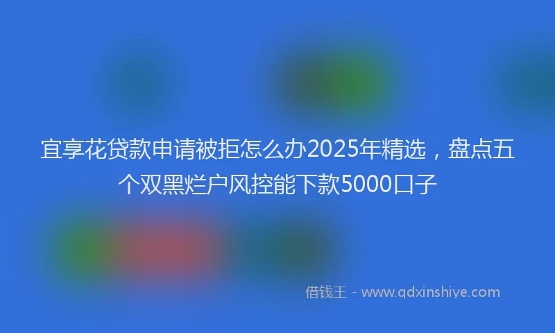 宜享花贷款申请被拒怎么办2025年精选，盘点五个双黑烂户风控能下款5000口子