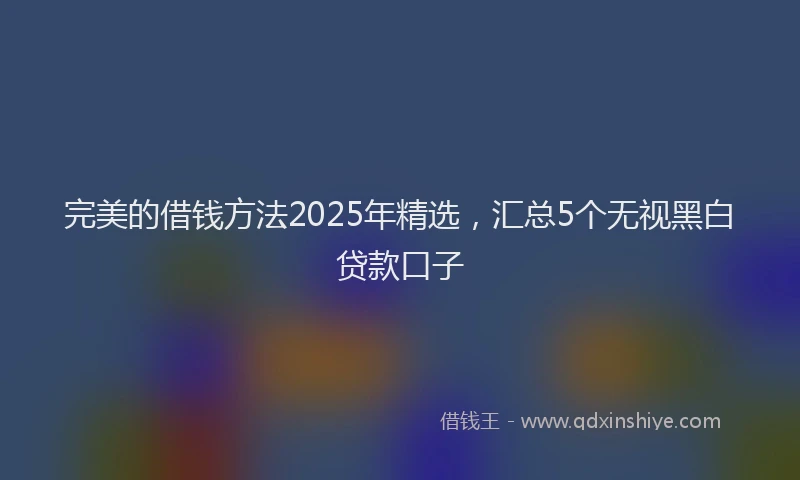 完美的借钱方法2025年精选，汇总5个无视黑白贷款口子