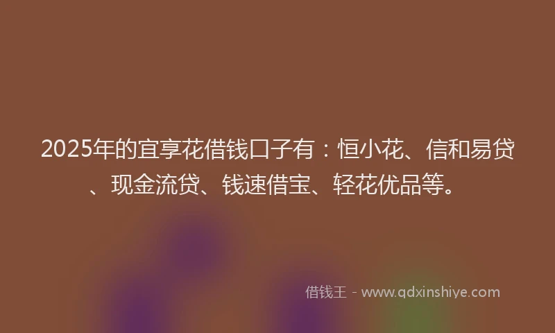 2025年的宜享花借钱口子有：恒小花、信和易贷、现金流贷、钱速借宝、轻花优品等。