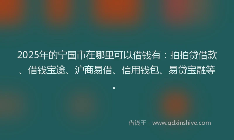 2025年的宁国市在哪里可以借钱有：拍拍贷借款、借钱宝途、沪商易借、信用钱包、易贷宝融等。