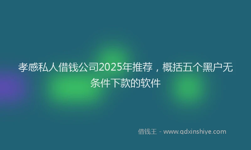 孝感私人借钱公司2025年推荐，概括五个黑户无条件下款的软件
